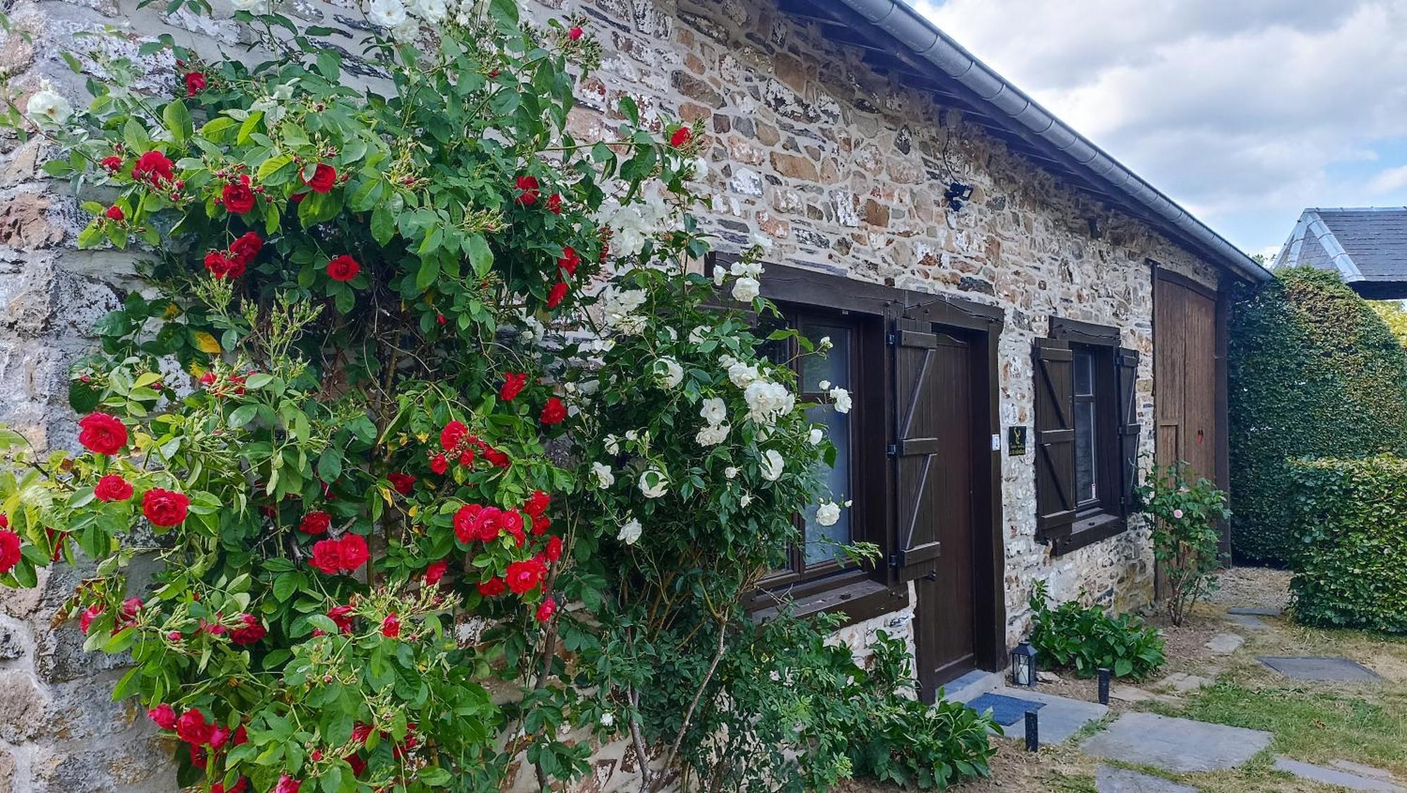 Gite : Le VI Colombage De Petites-Tailles Vielsalm Esterno foto